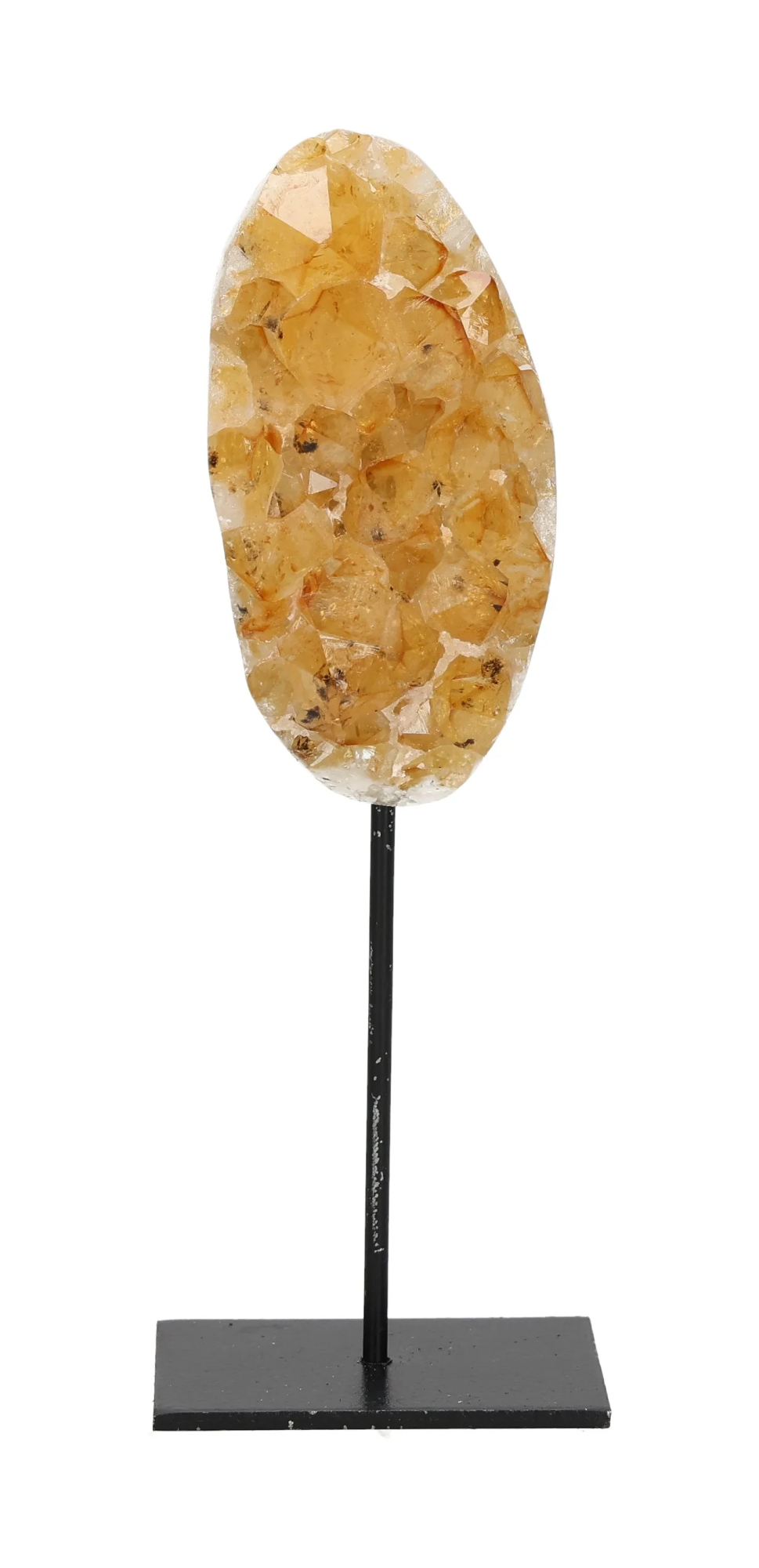 orbitvu|type:image2d