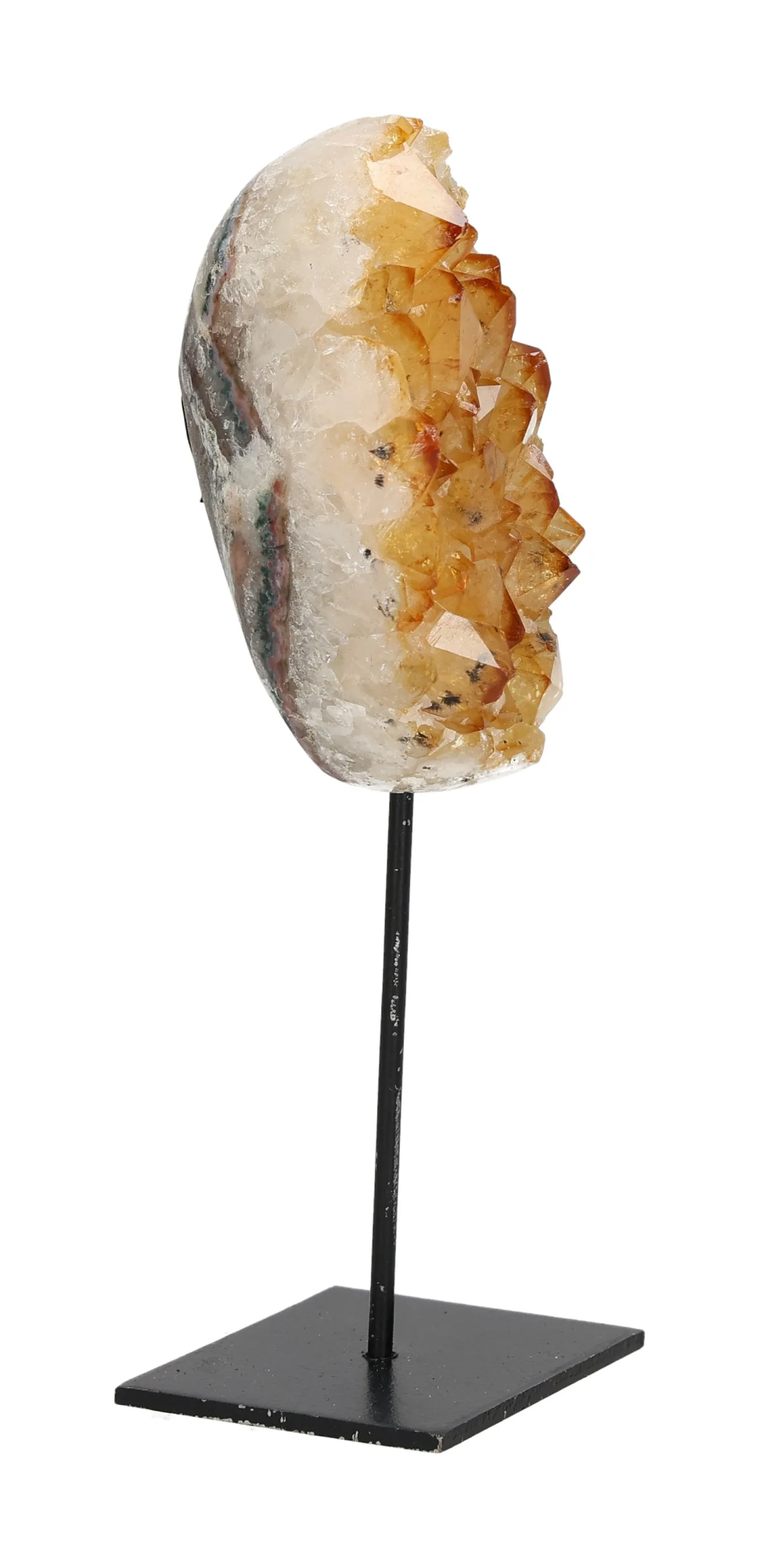 orbitvu|type:image2d