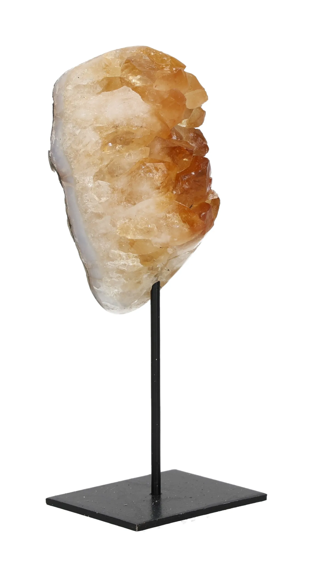 orbitvu|type:image2d