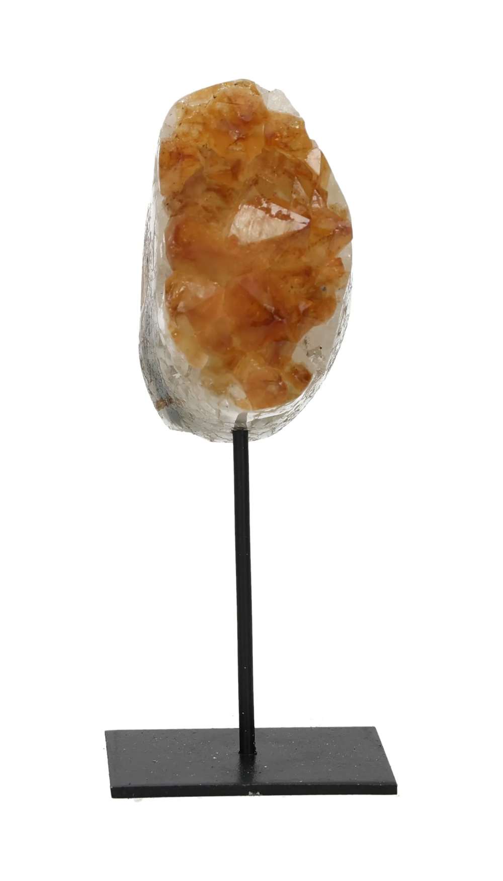 orbitvu|type:image2d