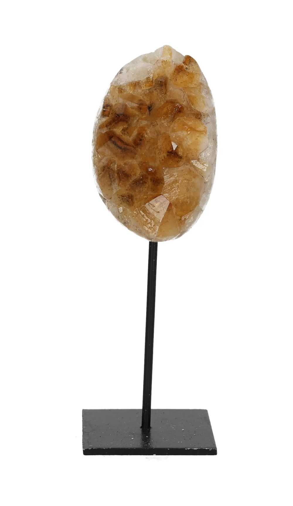 orbitvu|type:image2d