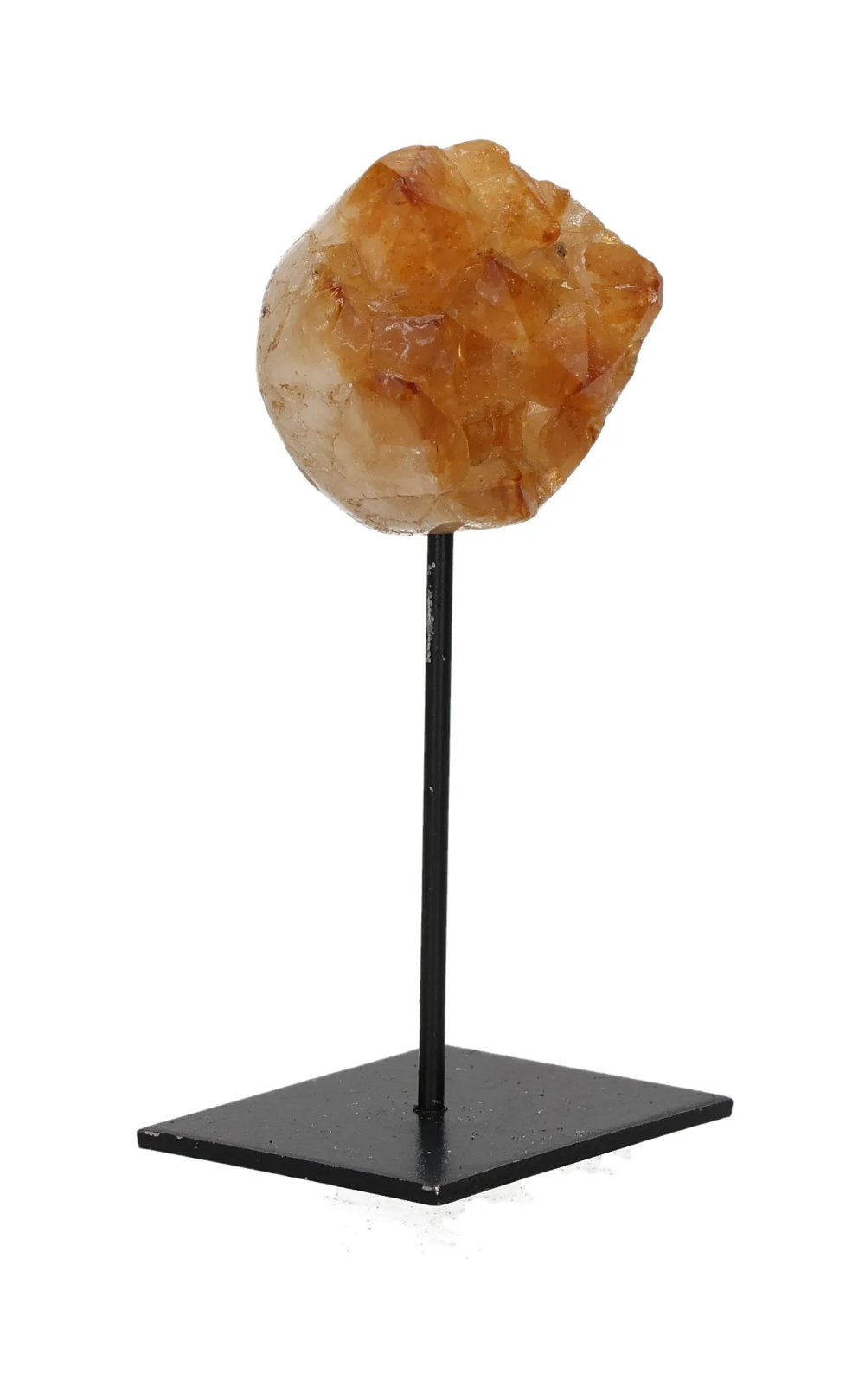 orbitvu|type:image2d