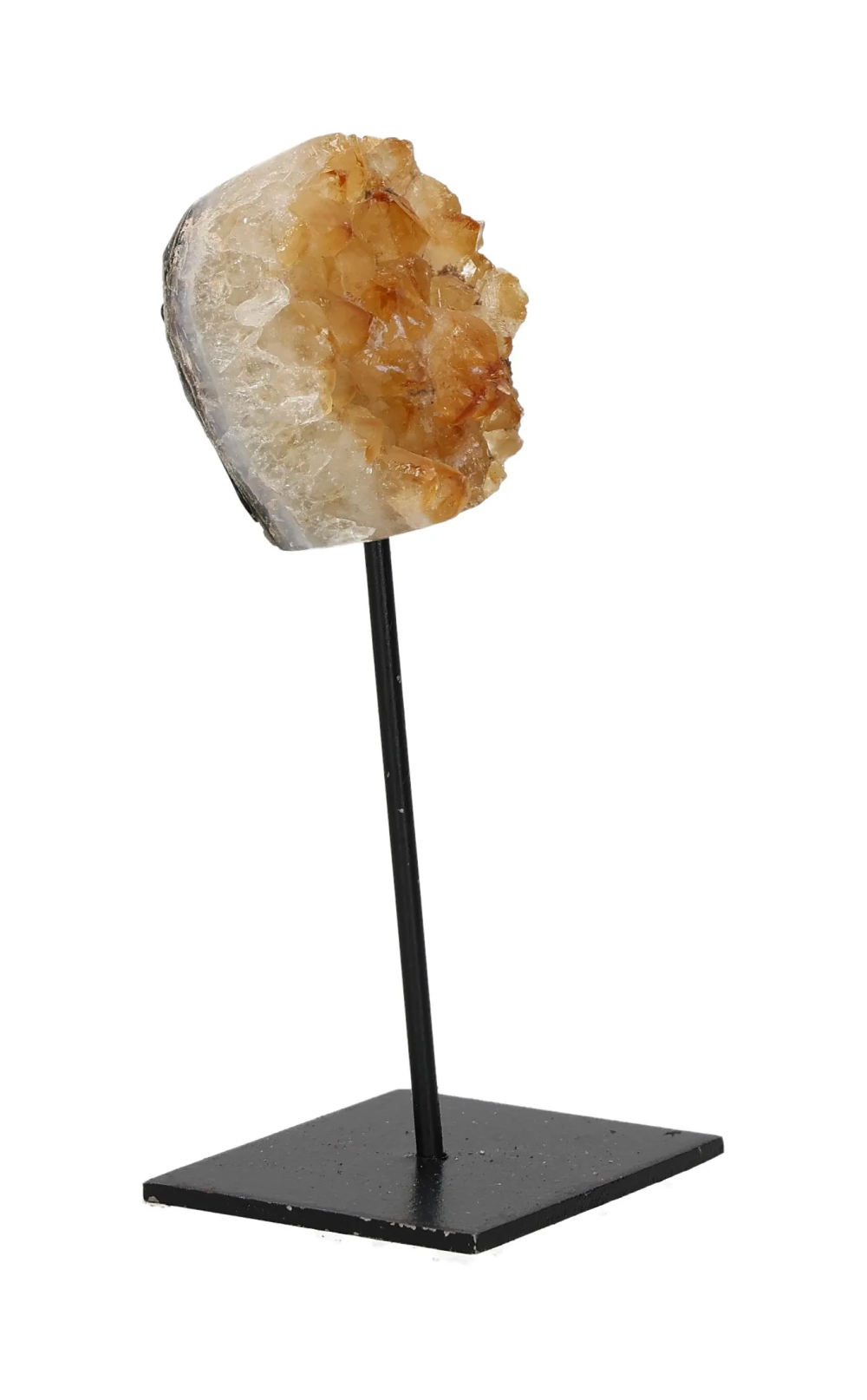 orbitvu|type:image2d