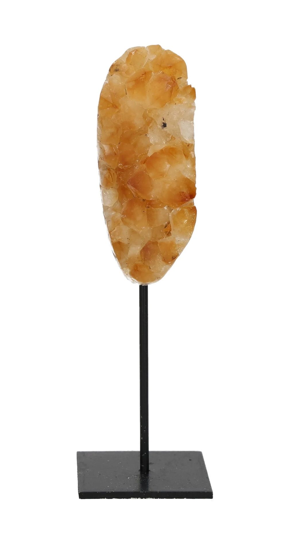 orbitvu|type:image2d