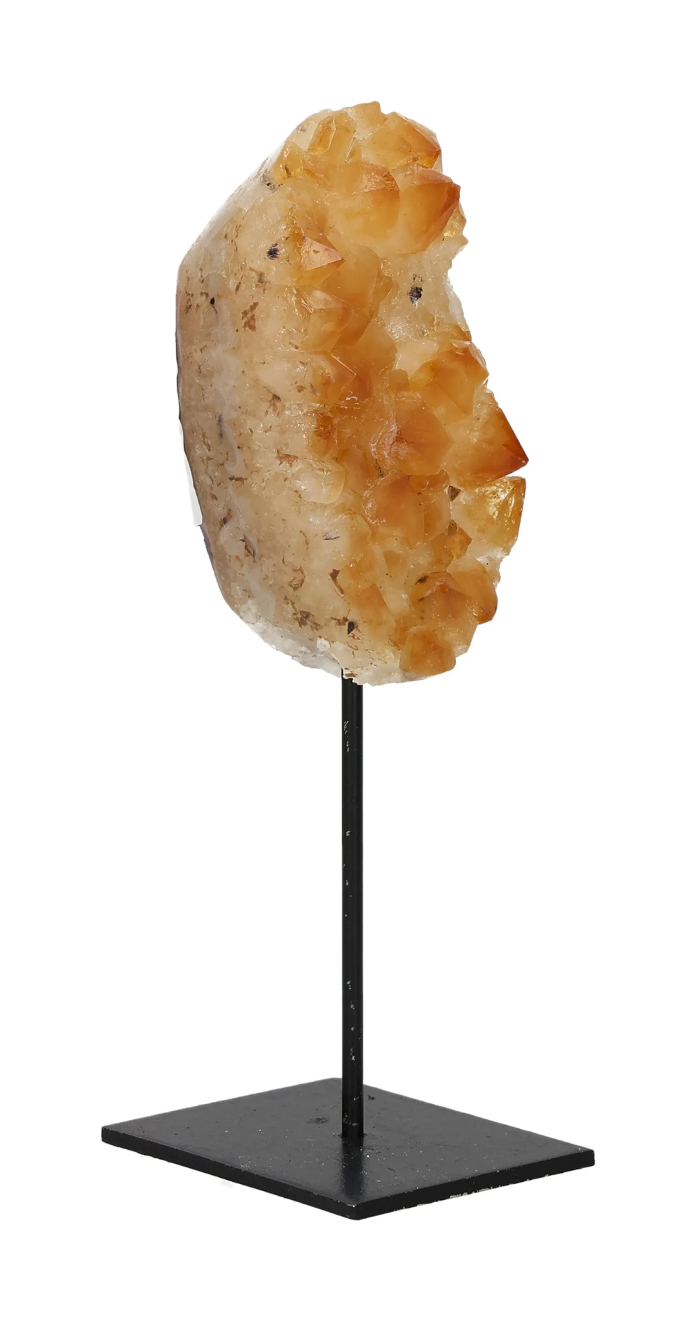 orbitvu|type:image2d