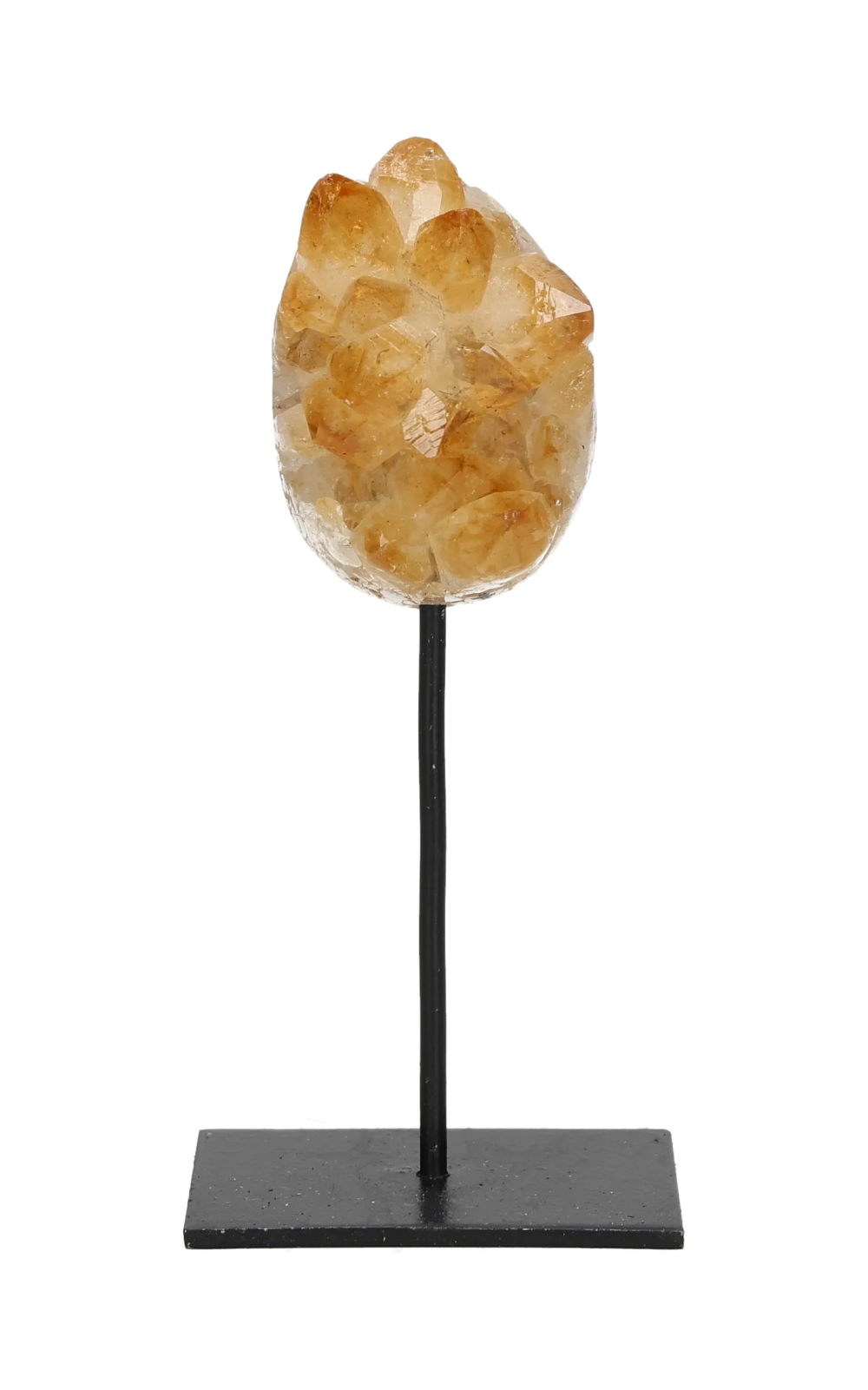 orbitvu|type:image2d