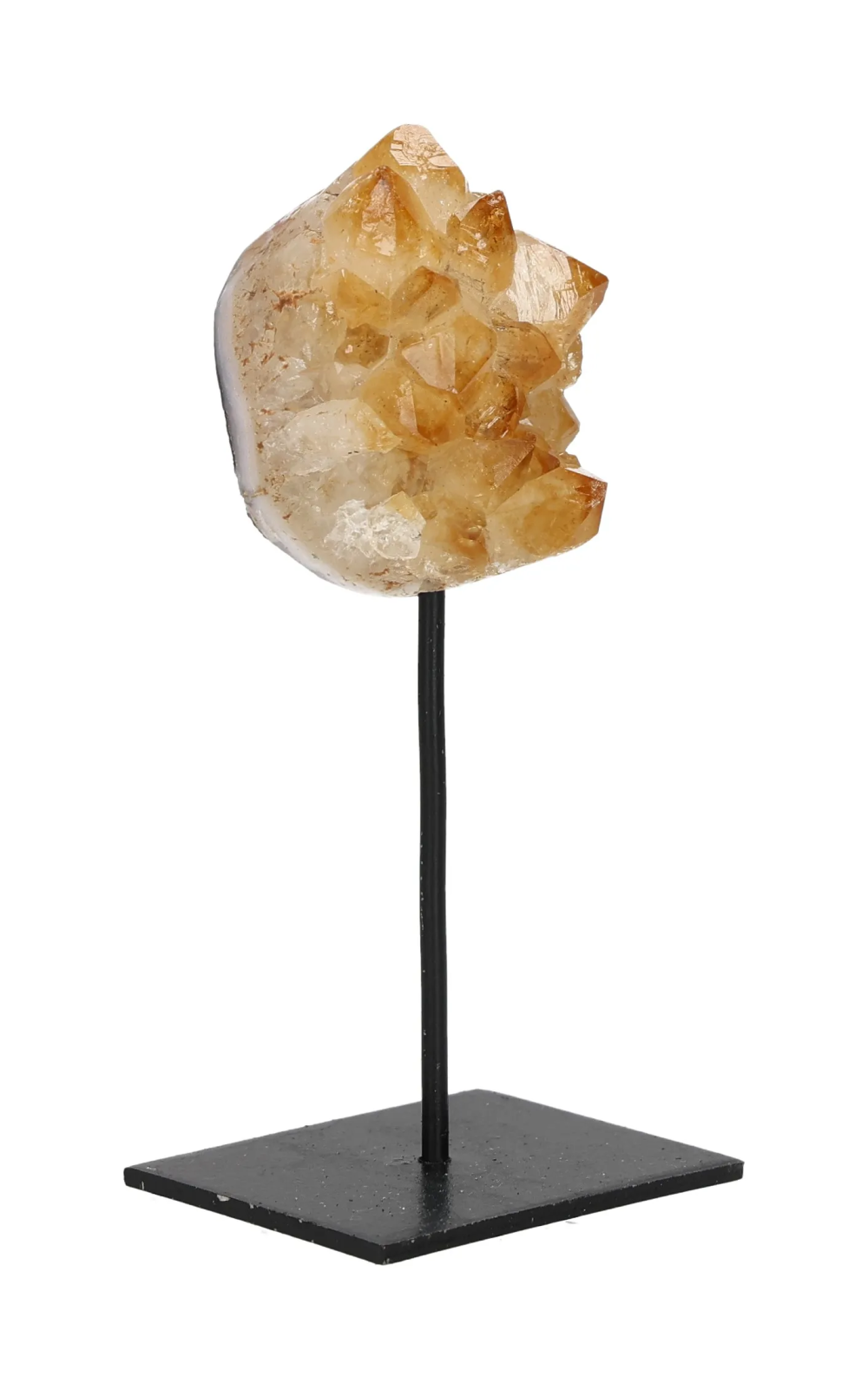 orbitvu|type:image2d