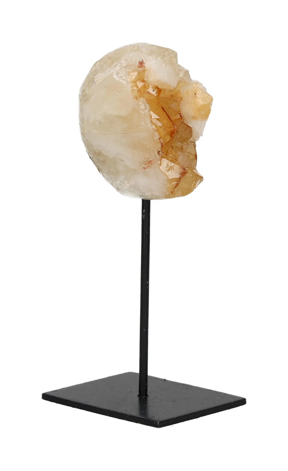 orbitvu|type:image2d