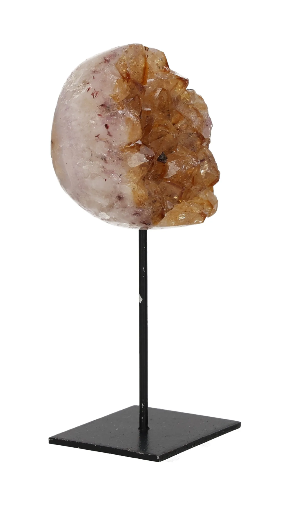 orbitvu|type:image2d