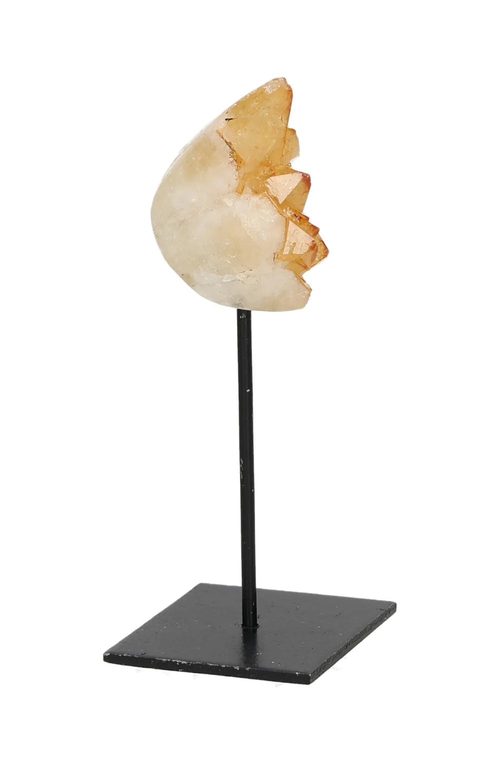 orbitvu|type:image2d