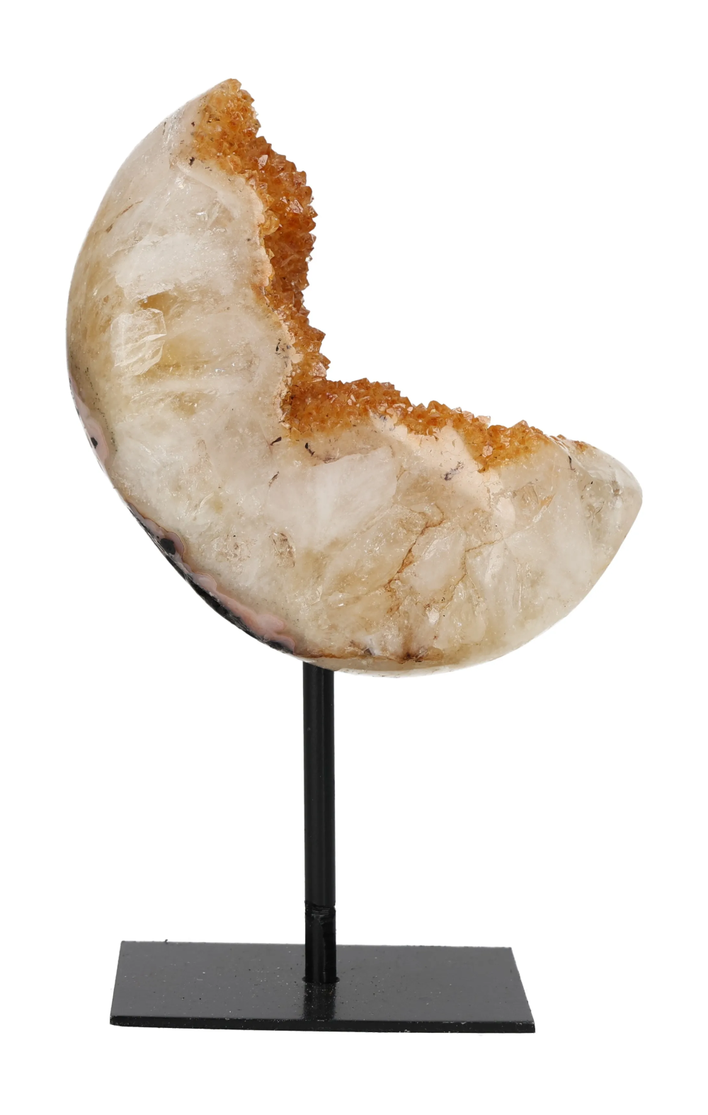 orbitvu|type:image2d