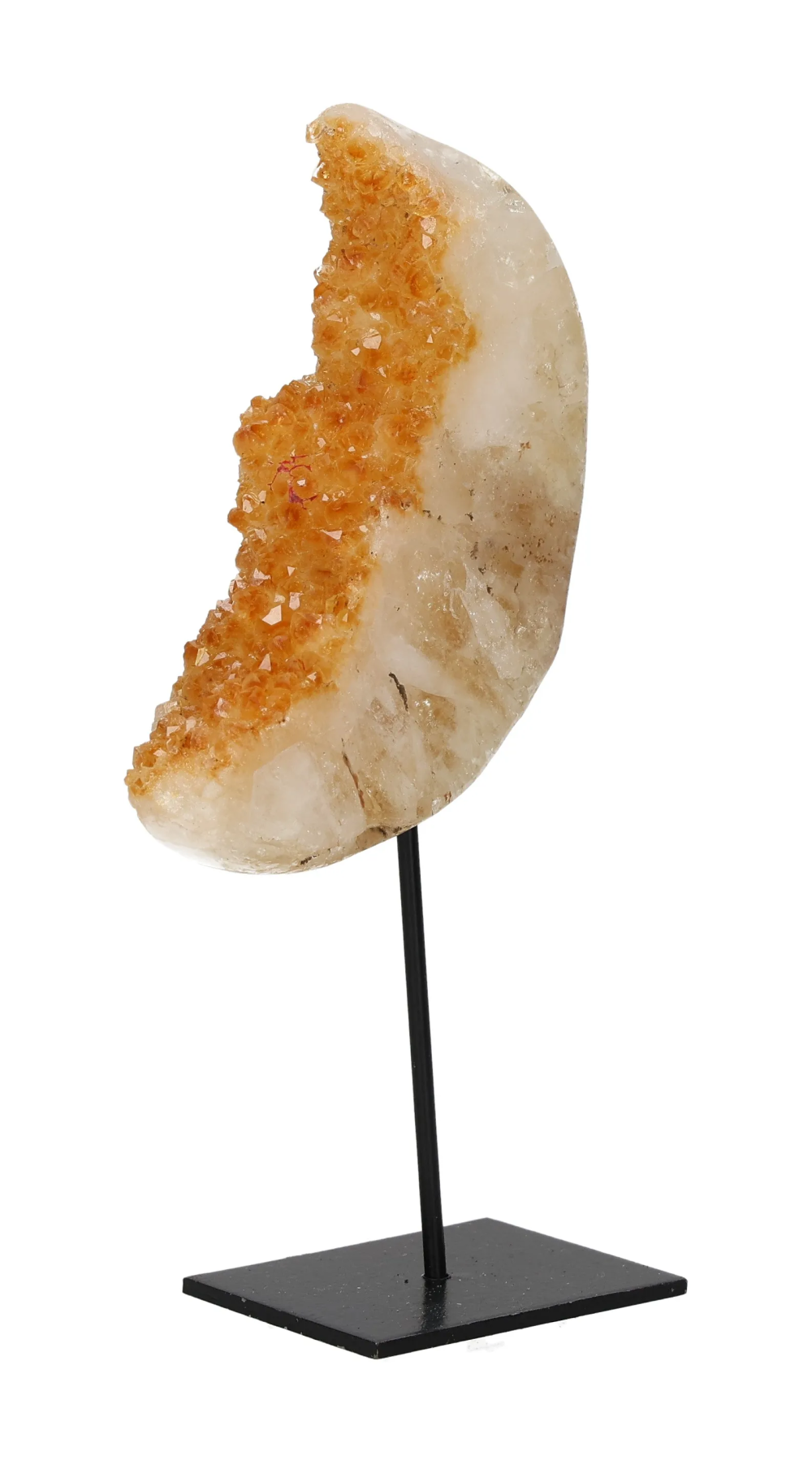 orbitvu|type:image2d