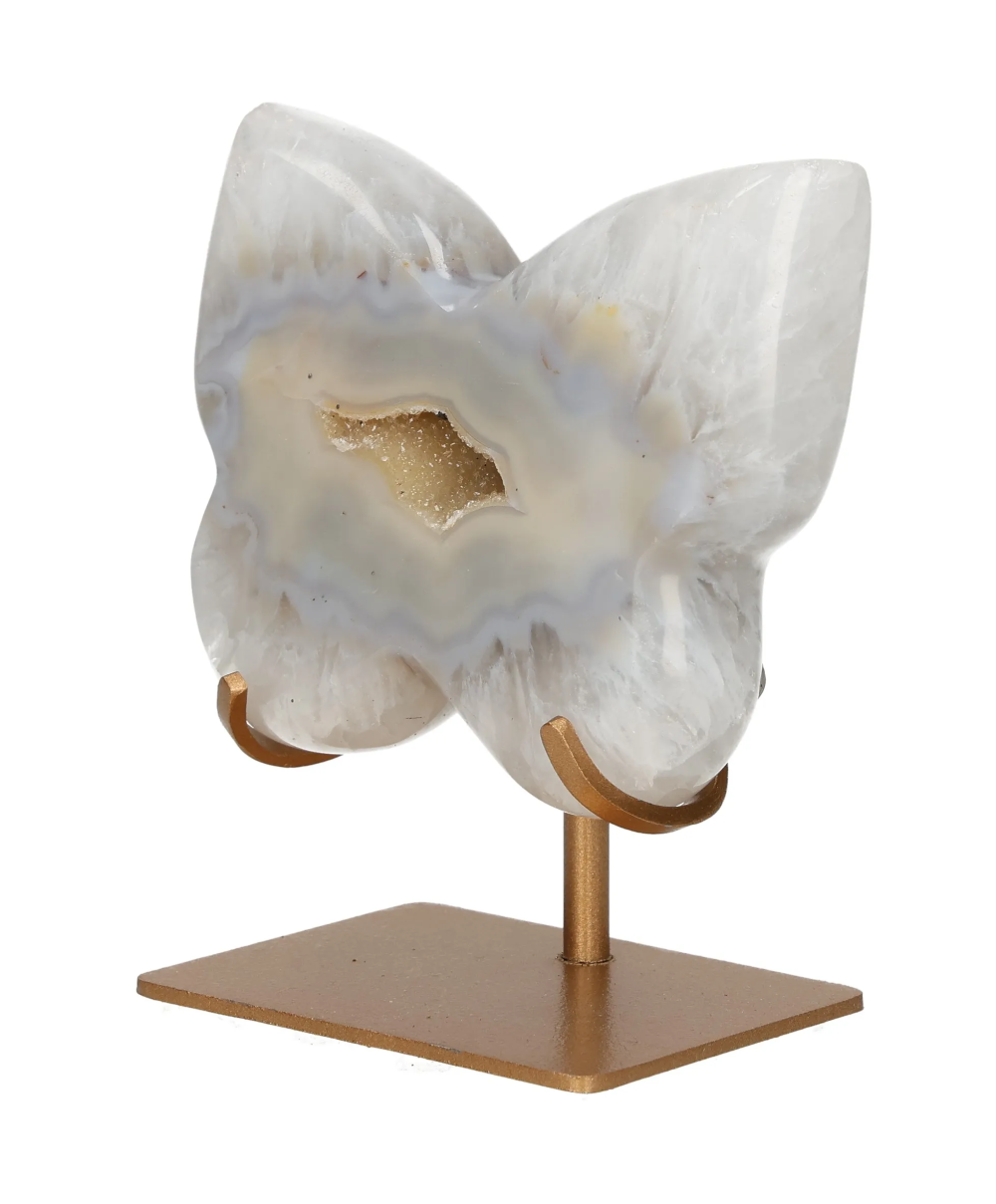 orbitvu|type:image2d