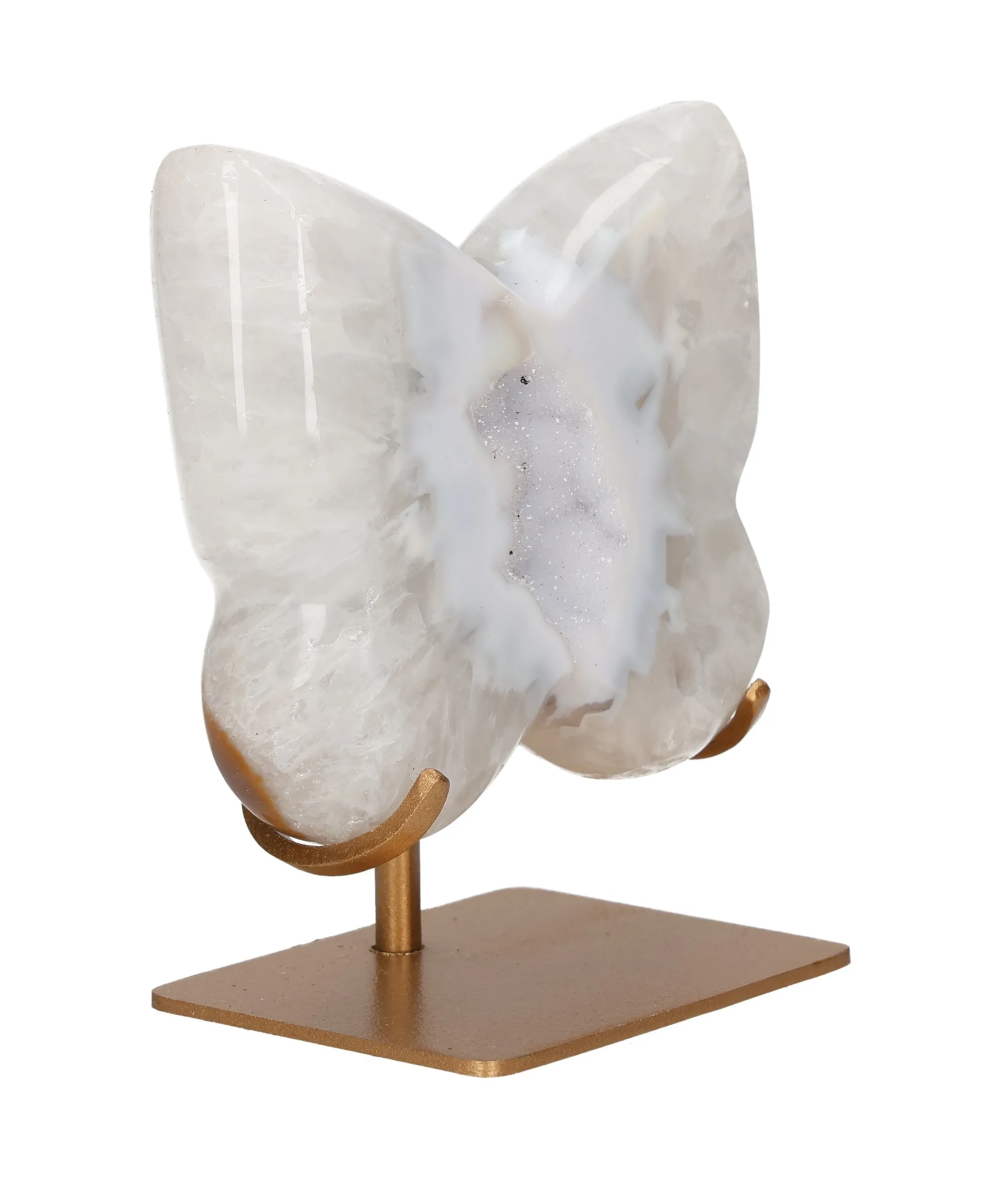 orbitvu|type:image2d