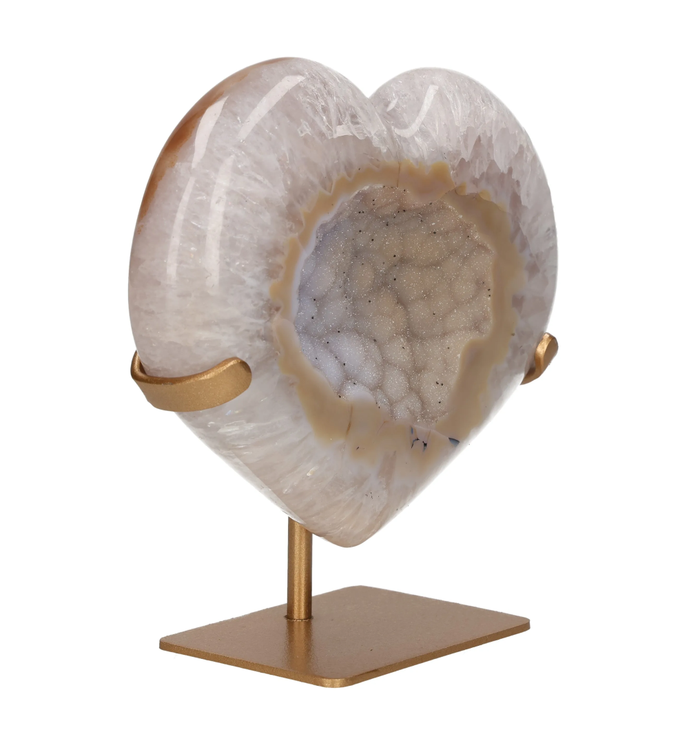 orbitvu|type:image2d