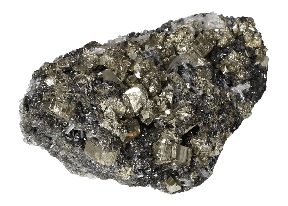 orbitvu|type:image2d