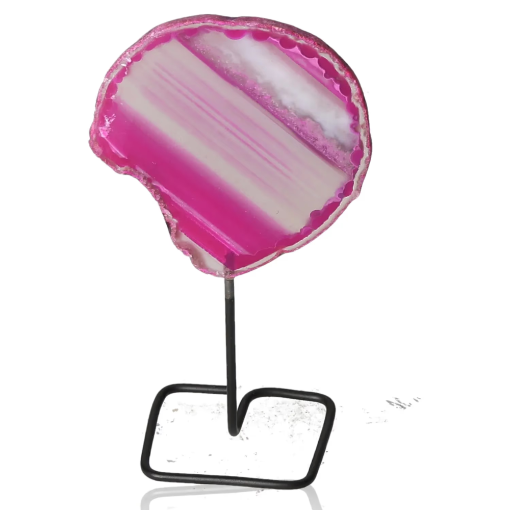 orbitvu|type:image2d