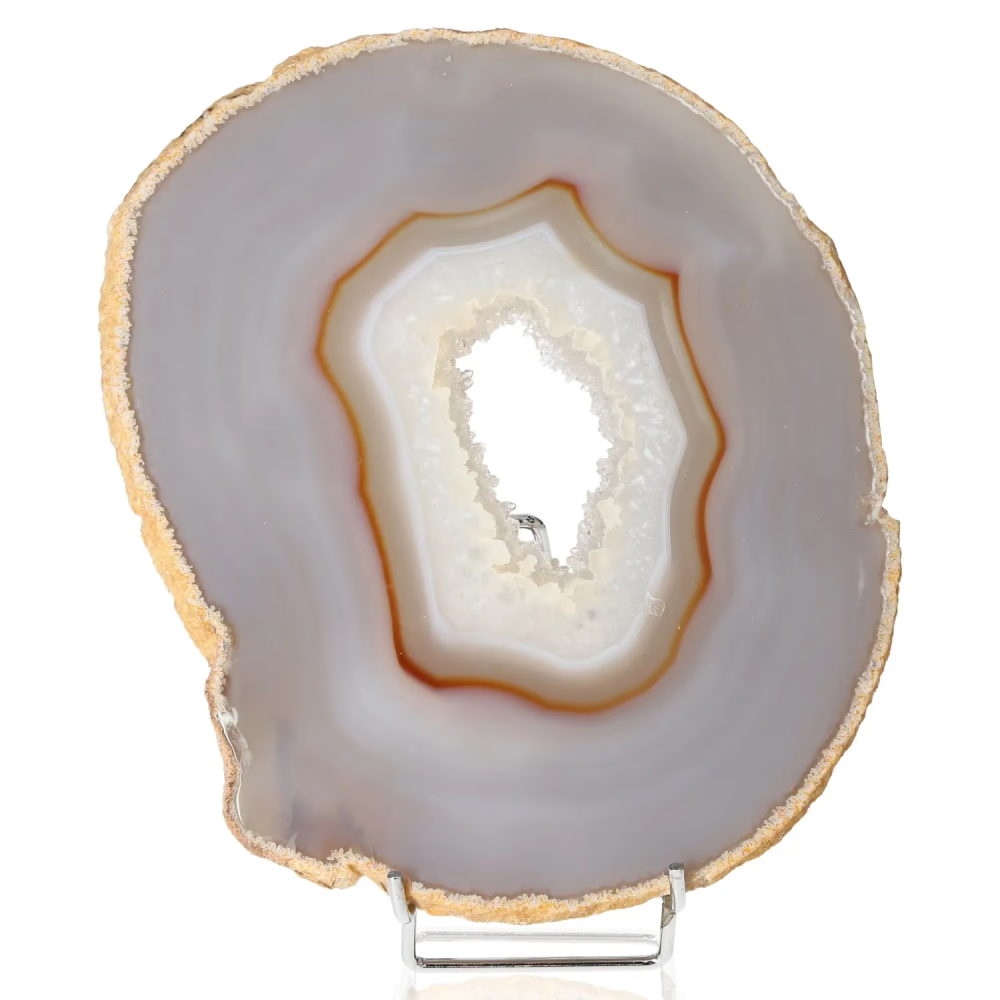 orbitvu|type:image2d