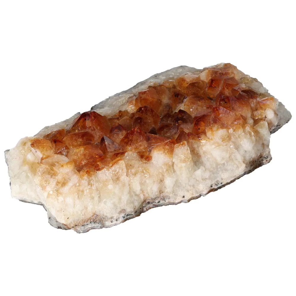 orbitvu|type:image2d