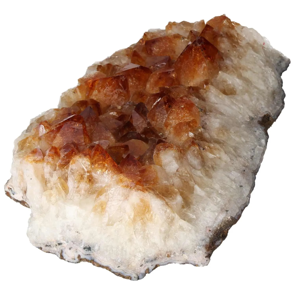 orbitvu|type:image2d