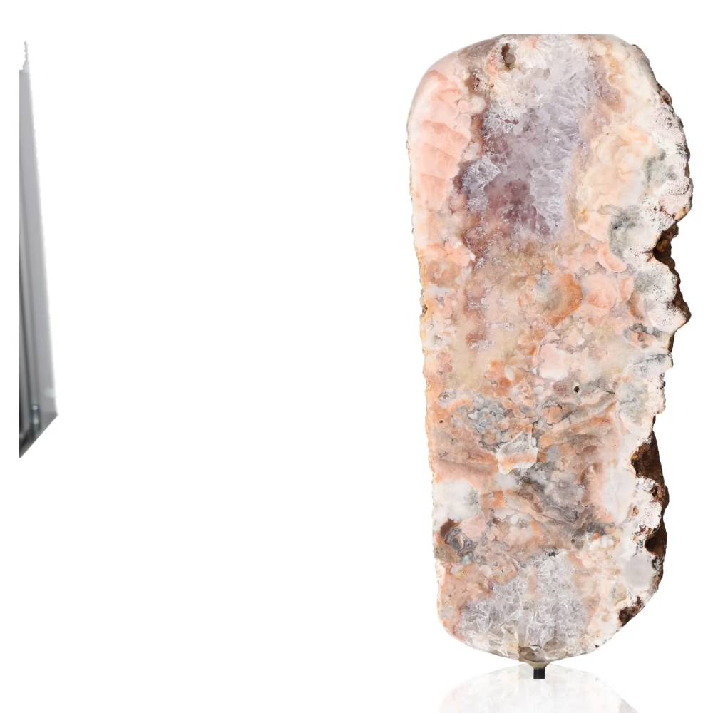 orbitvu|type:image2d