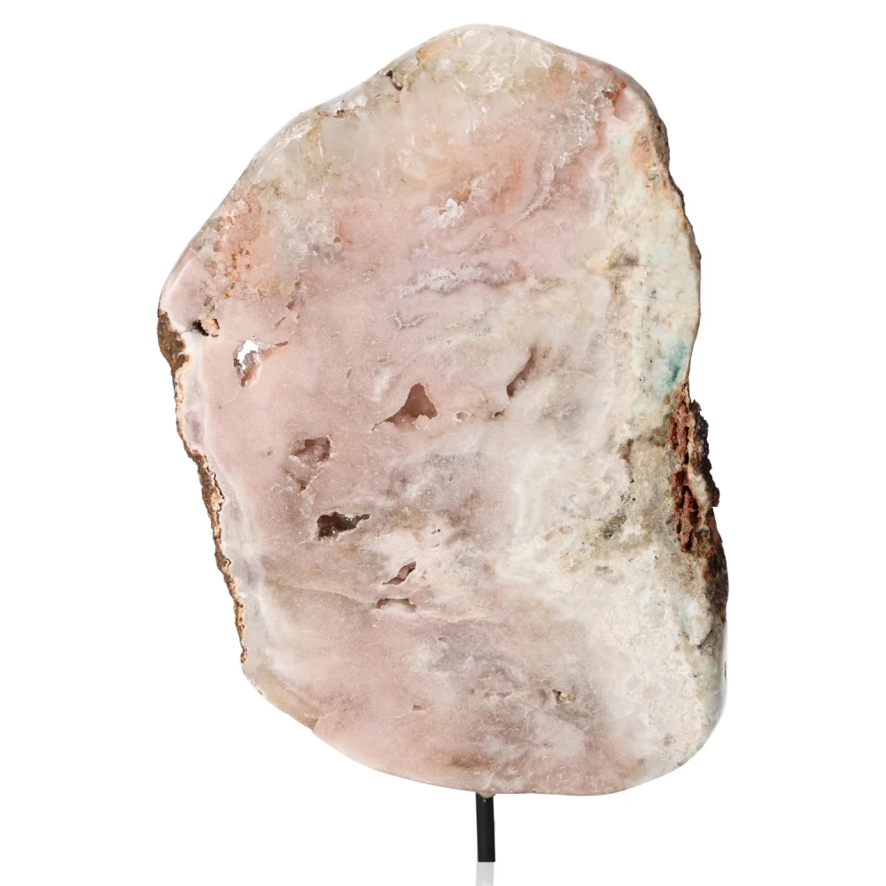 orbitvu|type:image2d