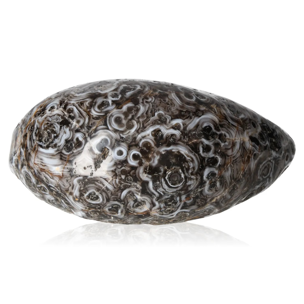 orbitvu|type:image2d