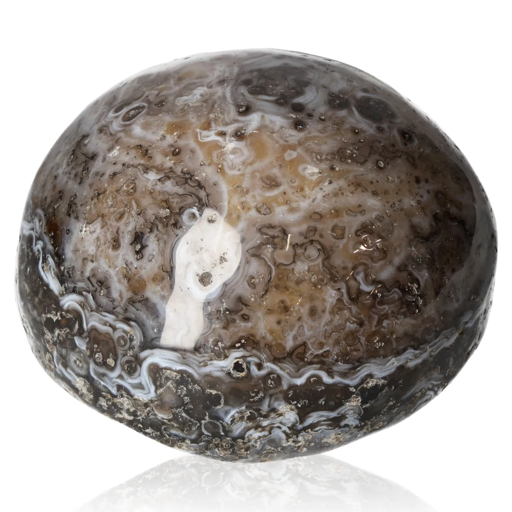 orbitvu|type:image2d