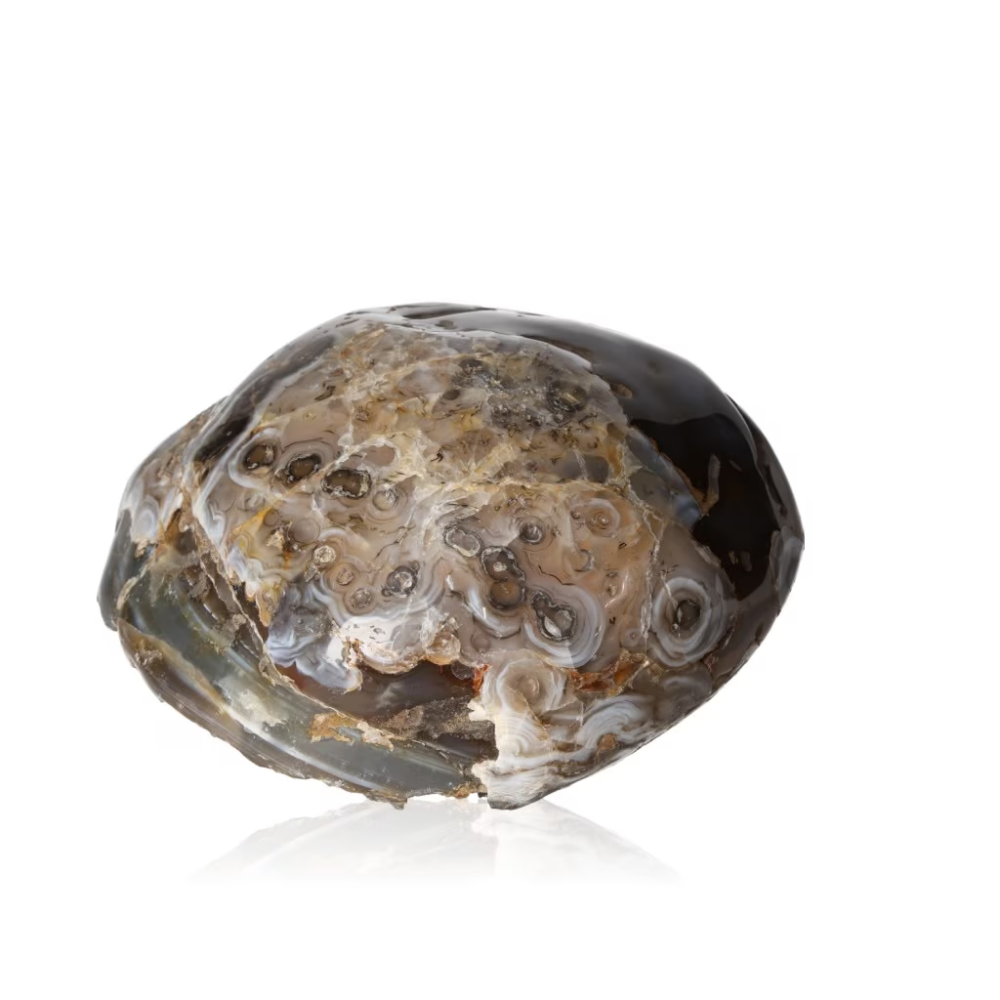 orbitvu|type:ORBITVU 360|https://orbitvu.co/share/9YT8sYWwiLxE2qtJJhdryY/6461706/360/iframe