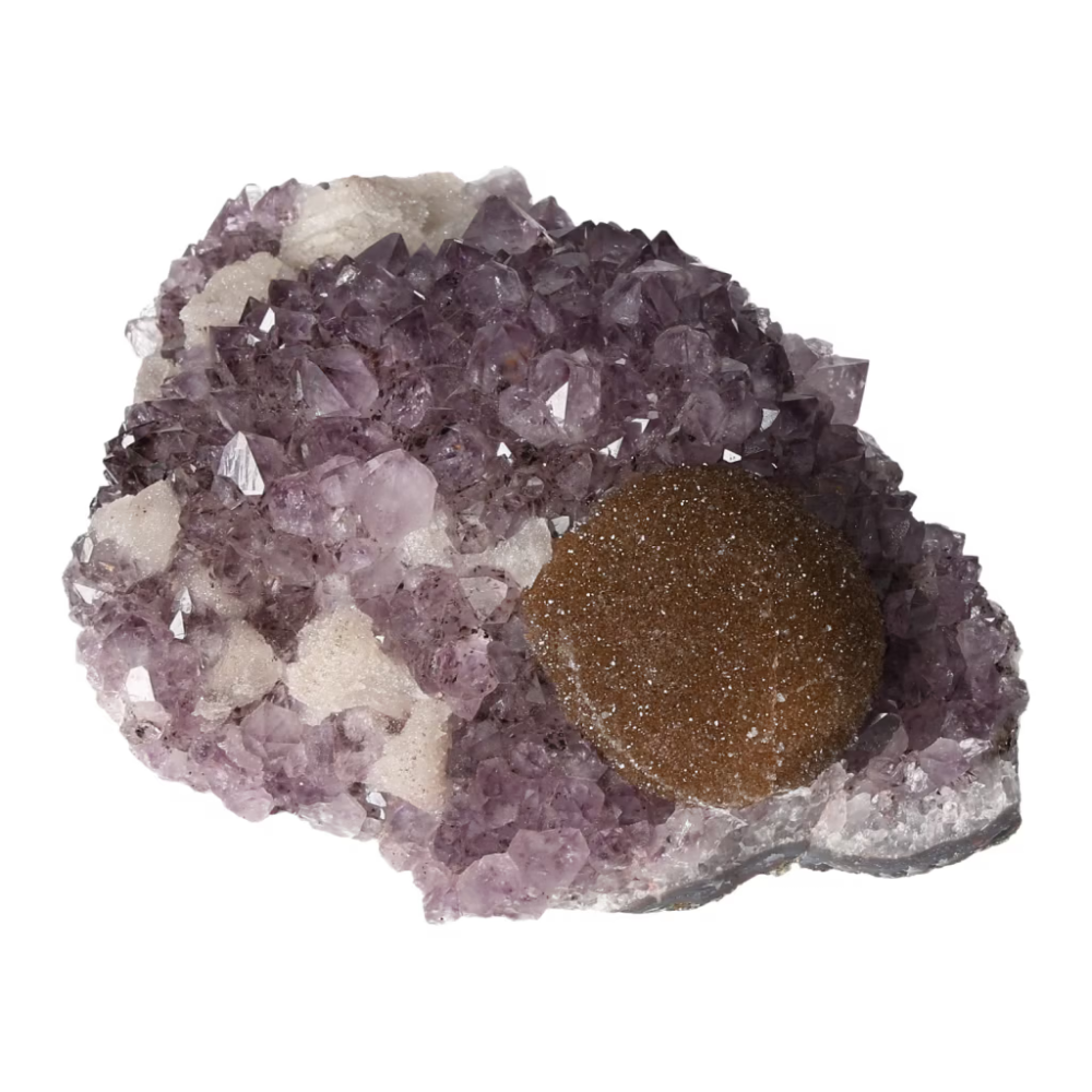 orbitvu|type:ORBITVU 360|https://orbitvu.co/share/Uvj6FBpSR6WFzKNBYUovAL/6561534/360/iframe