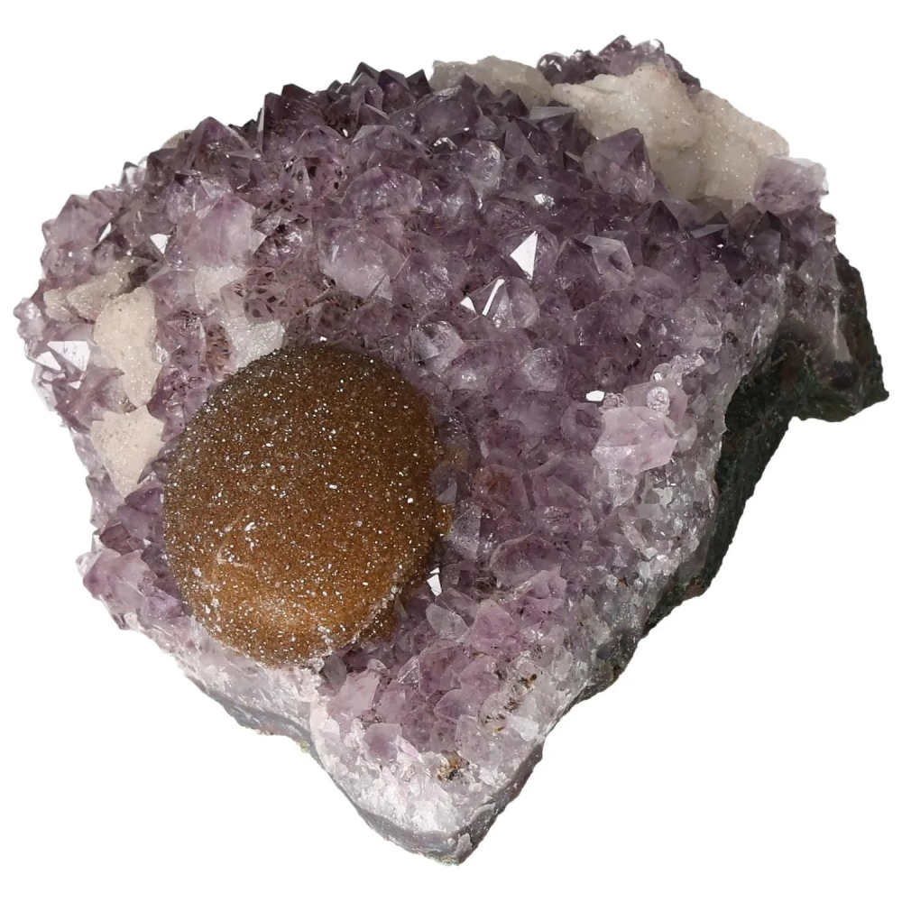 orbitvu|type:image2d