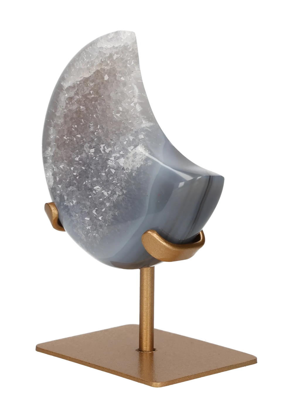 orbitvu|type:image2d