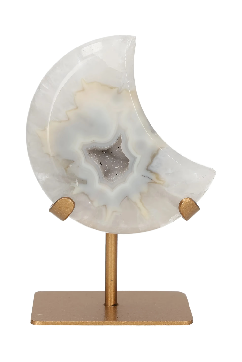 orbitvu|type:image2d