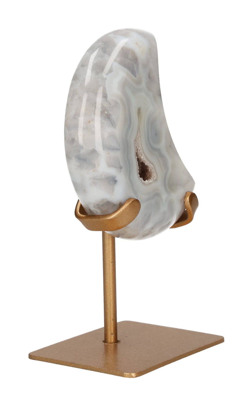 orbitvu|type:image2d