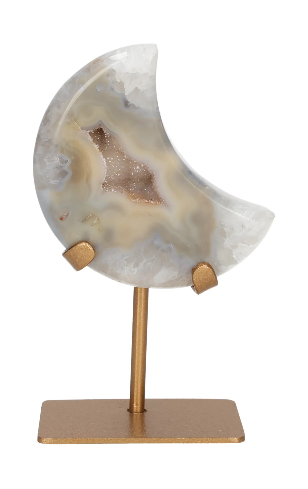 orbitvu|type:image2d