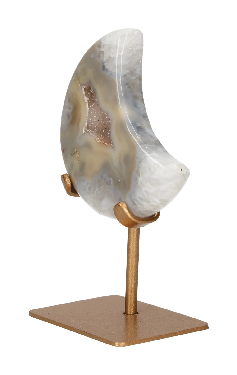 orbitvu|type:image2d