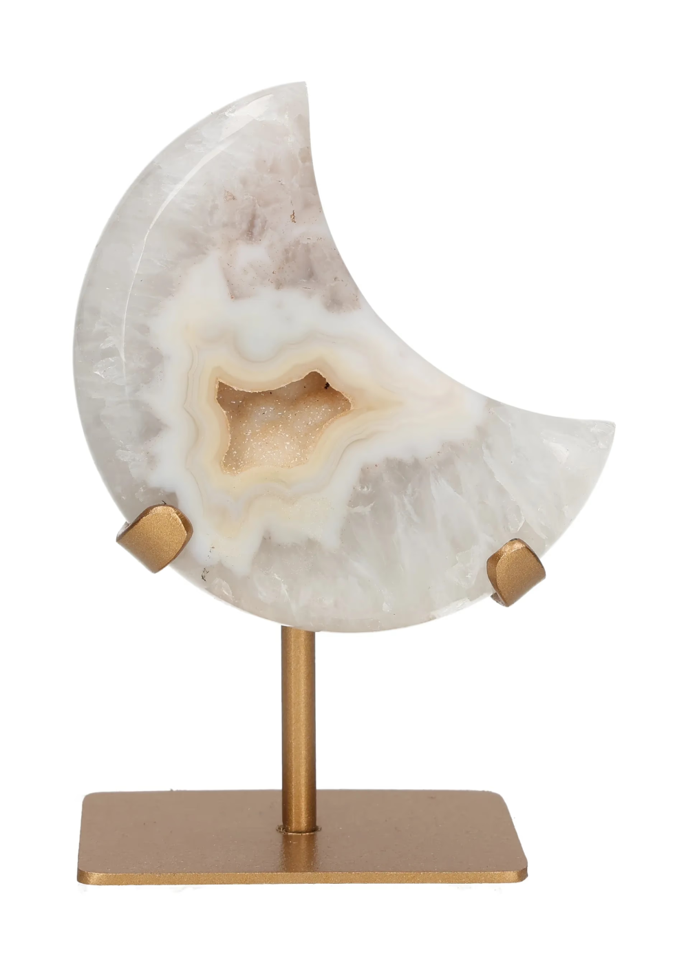 orbitvu|type:image2d