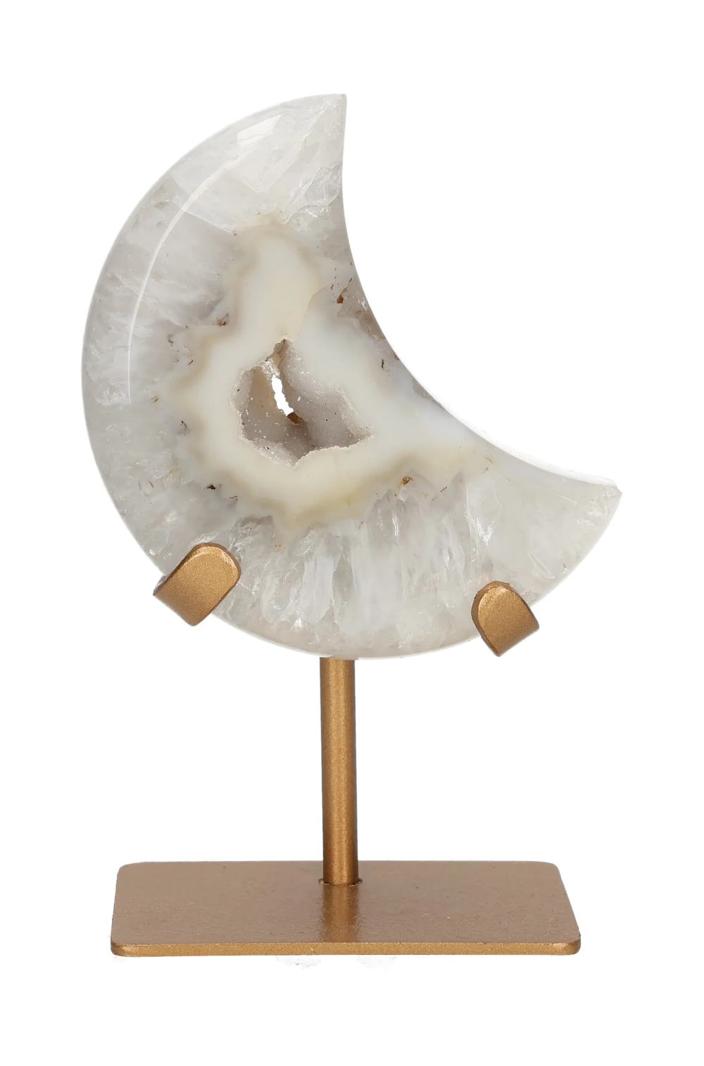 orbitvu|type:image2d