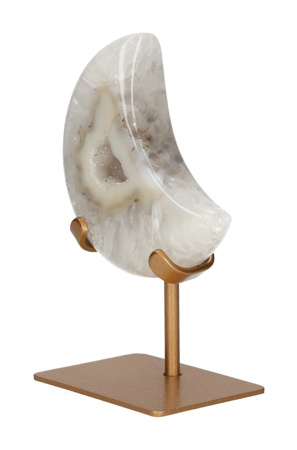 orbitvu|type:image2d