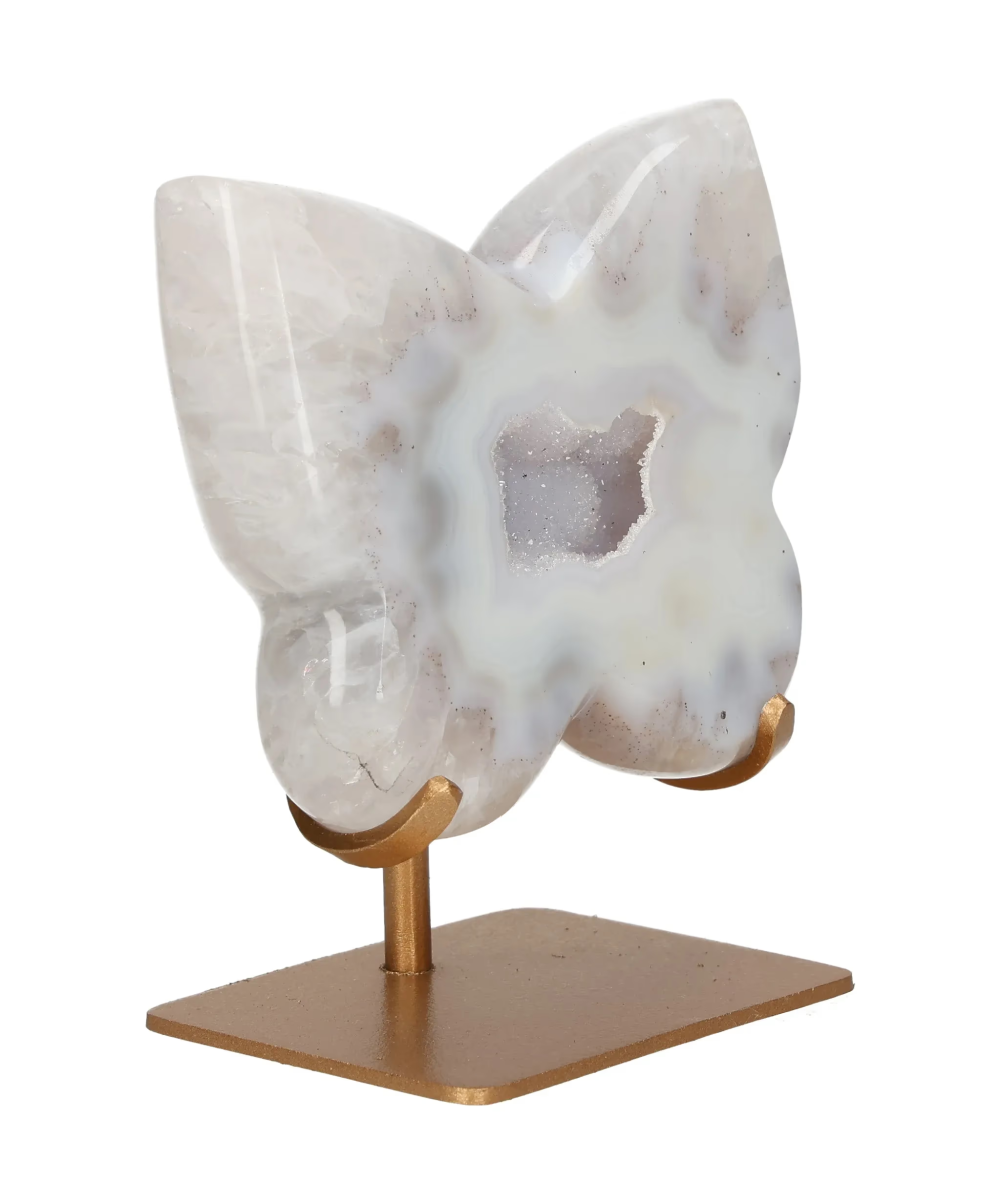 orbitvu|type:image2d