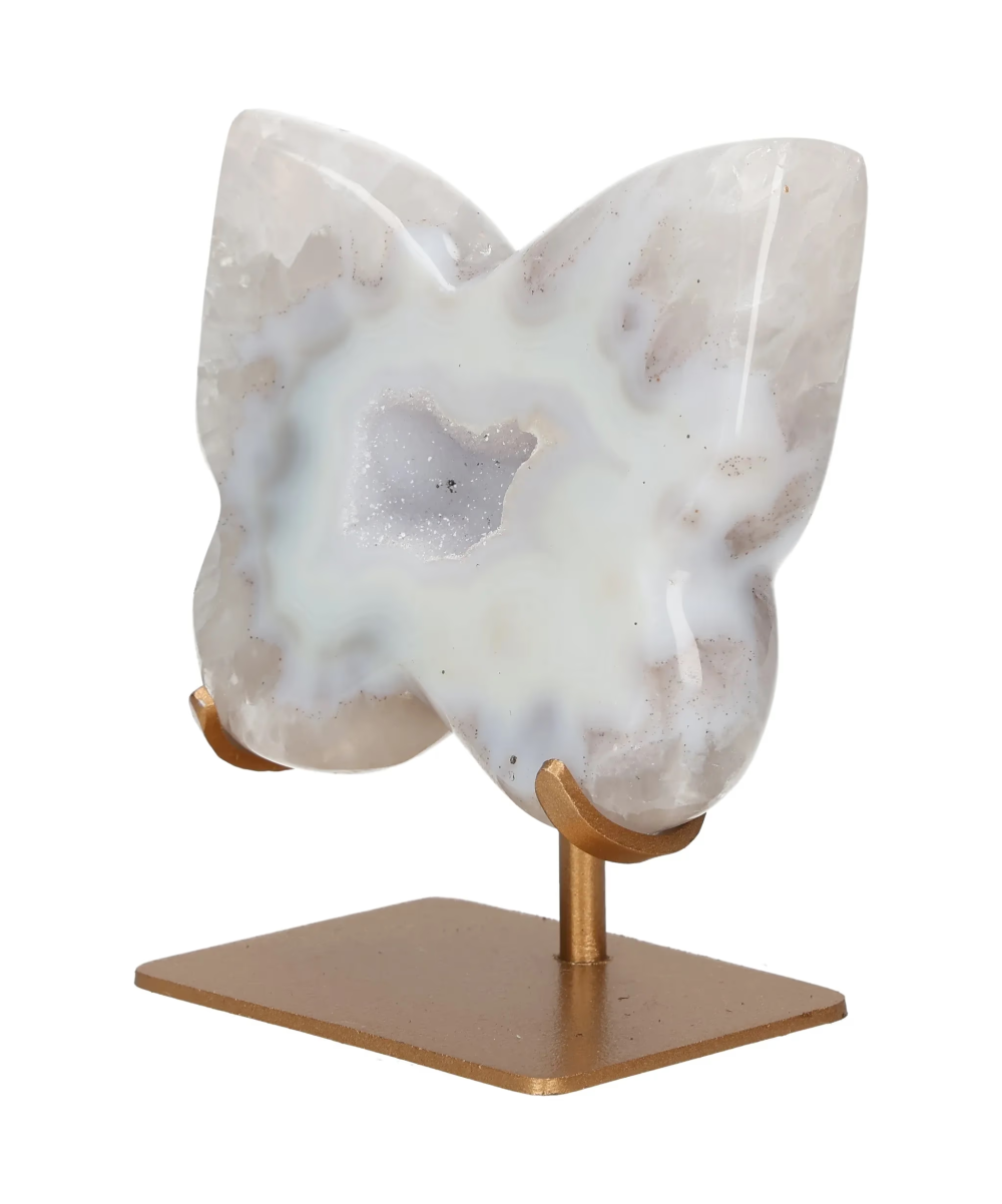 orbitvu|type:image2d