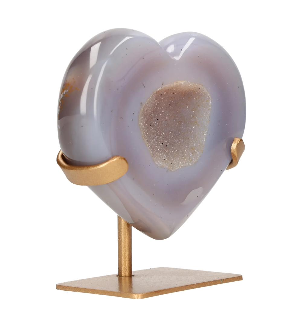 orbitvu|type:image2d