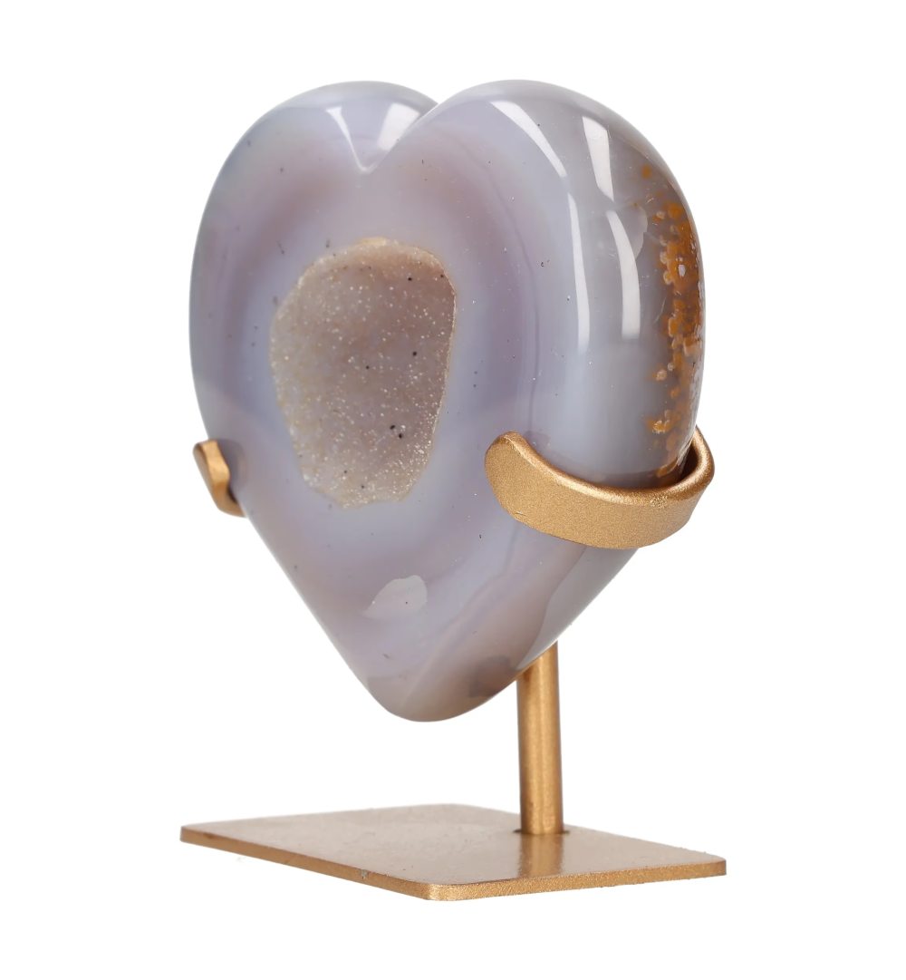 orbitvu|type:image2d