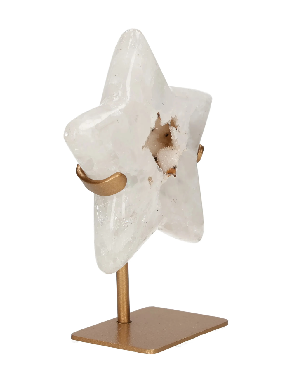 orbitvu|type:image2d