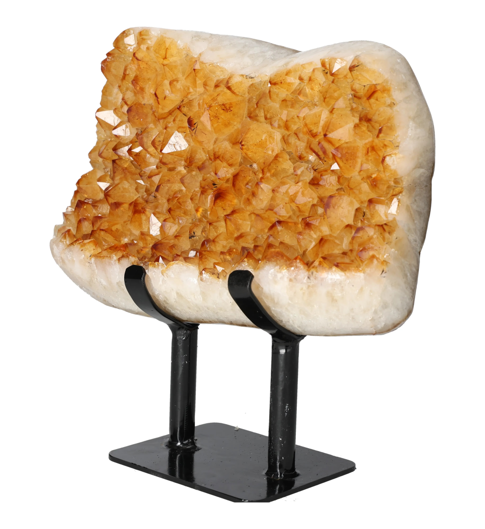 orbitvu|type:image2d