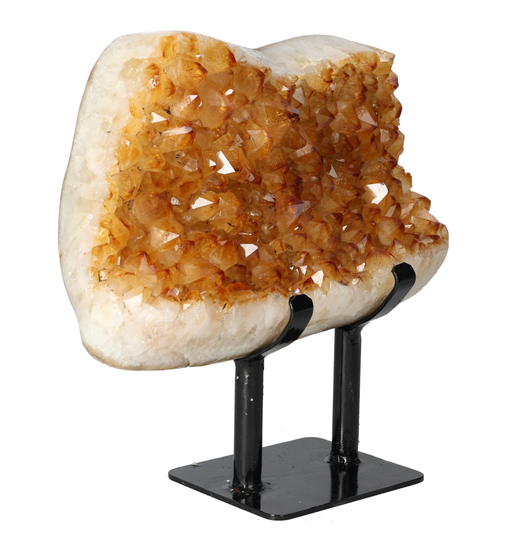 orbitvu|type:image2d