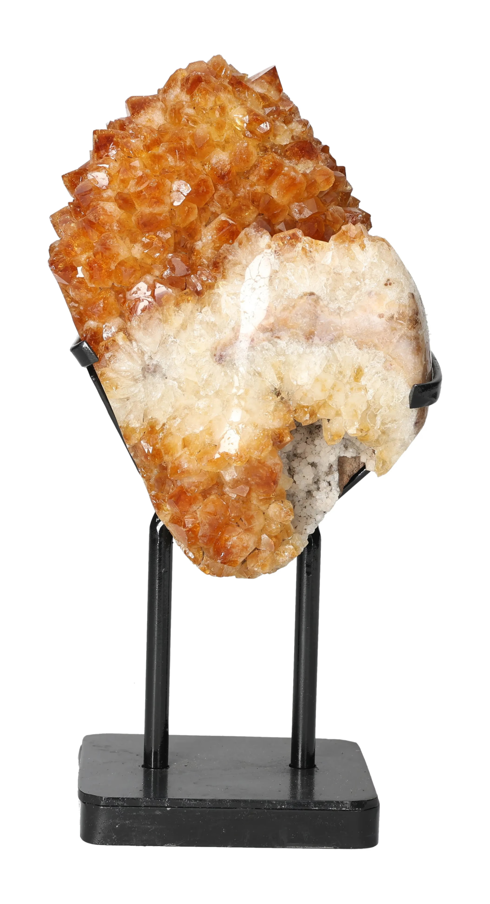 orbitvu|type:image2d