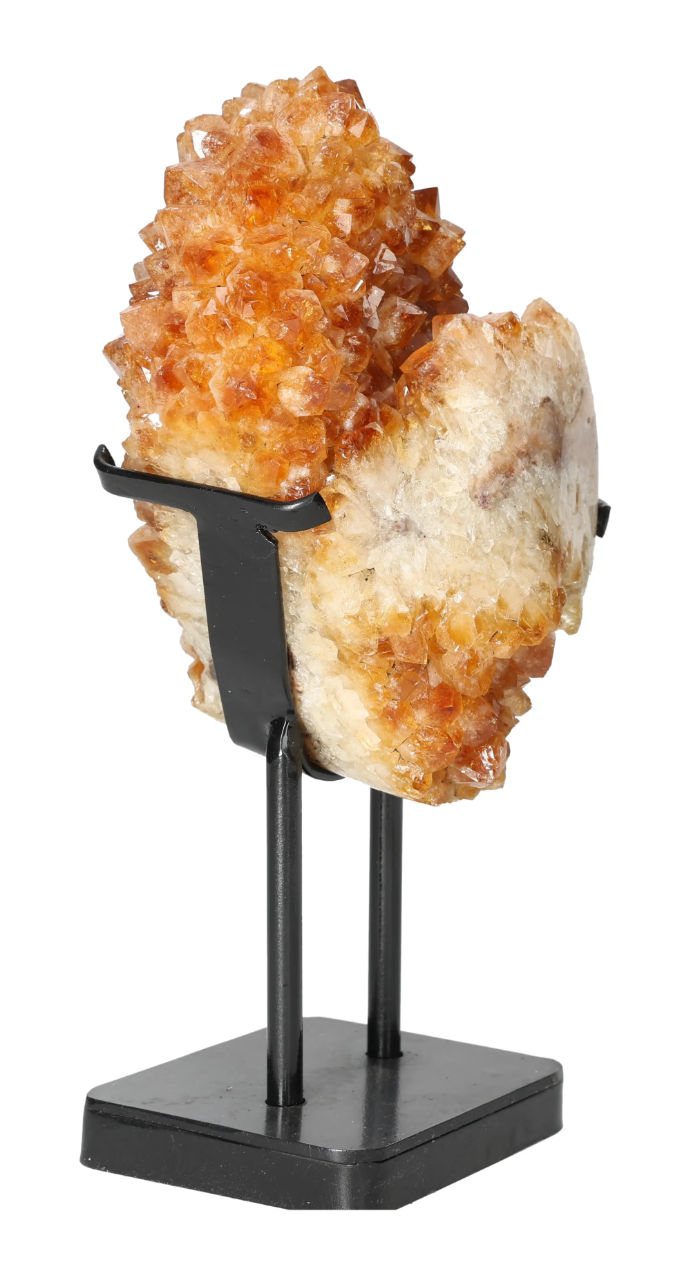 orbitvu|type:image2d