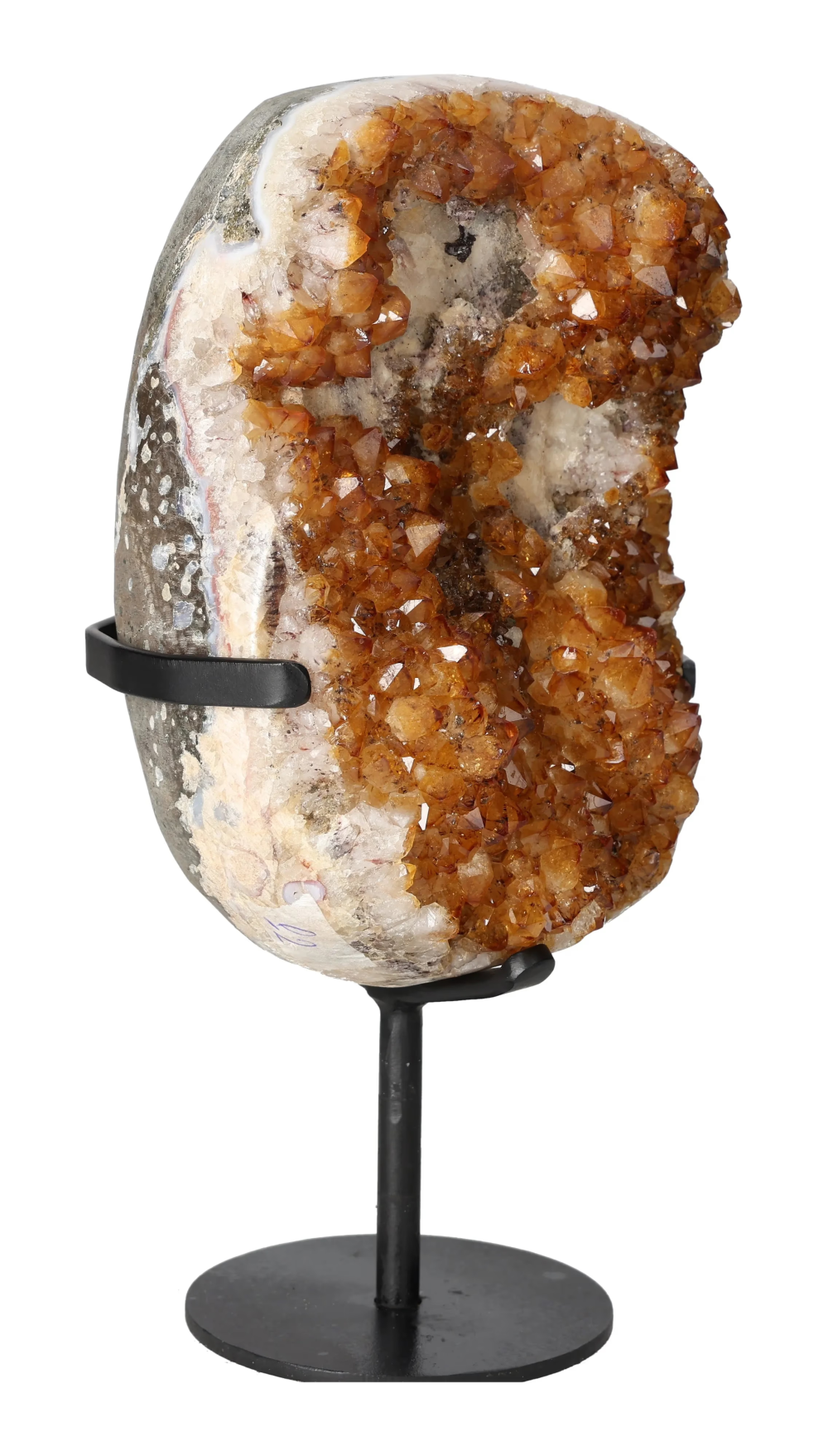 orbitvu|type:image2d