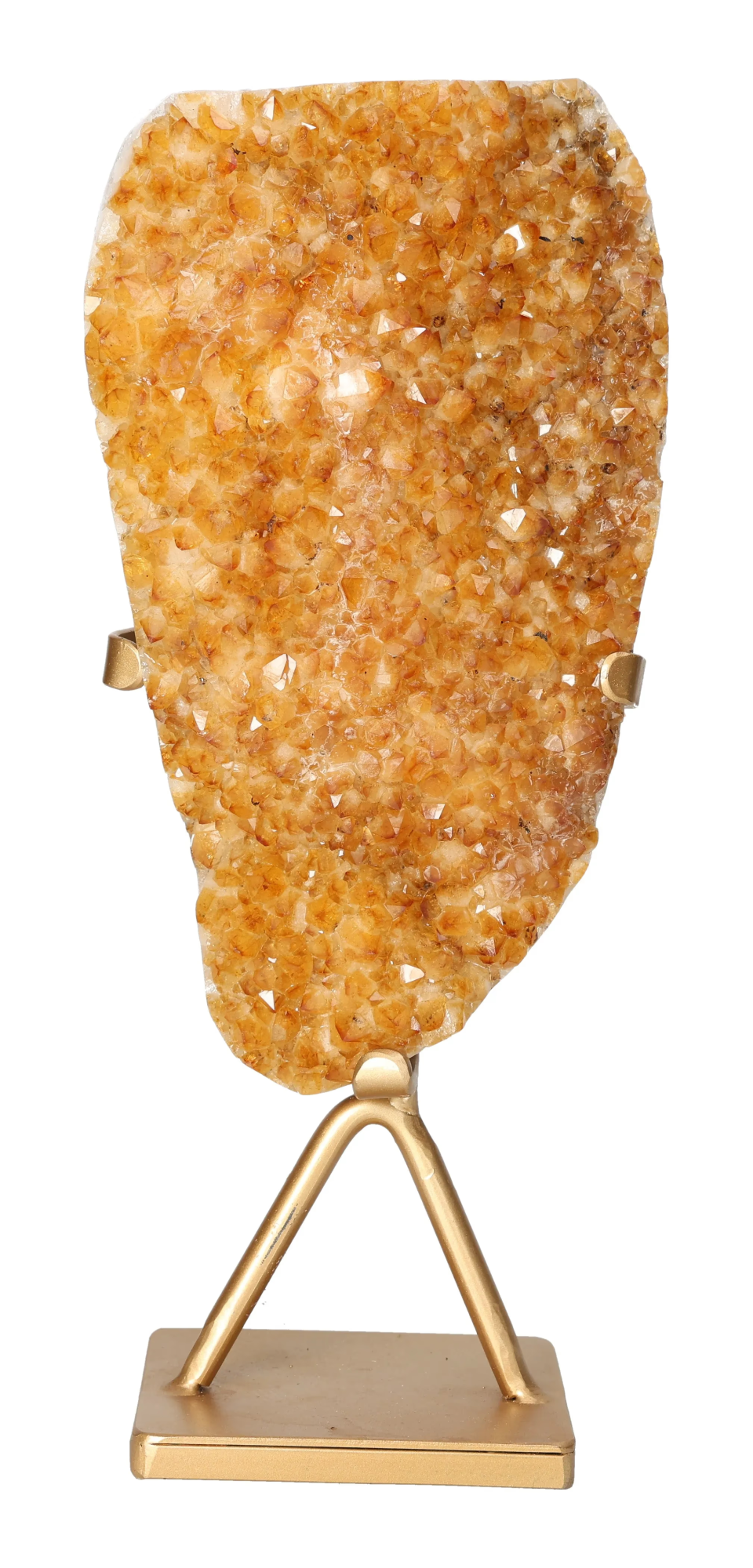 orbitvu|type:image2d